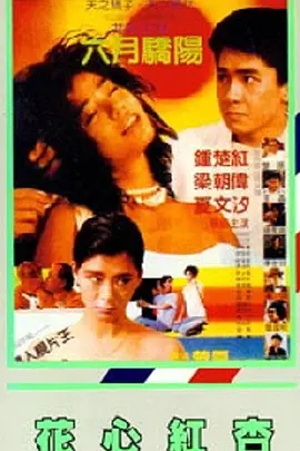美女网站免费黄色